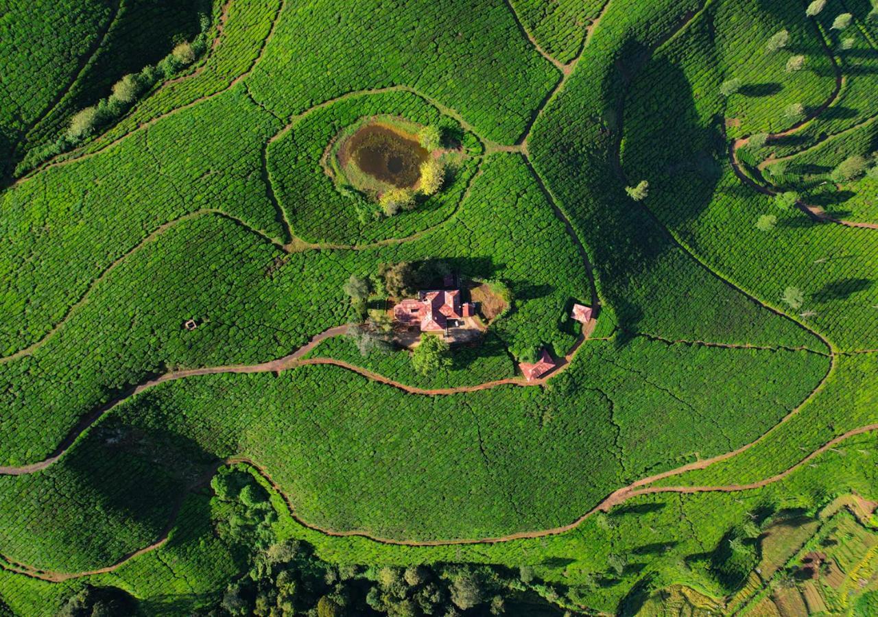 Arivikad Tea Bungalow Munnar By Voye Homes Suryanelli Exteriör bild