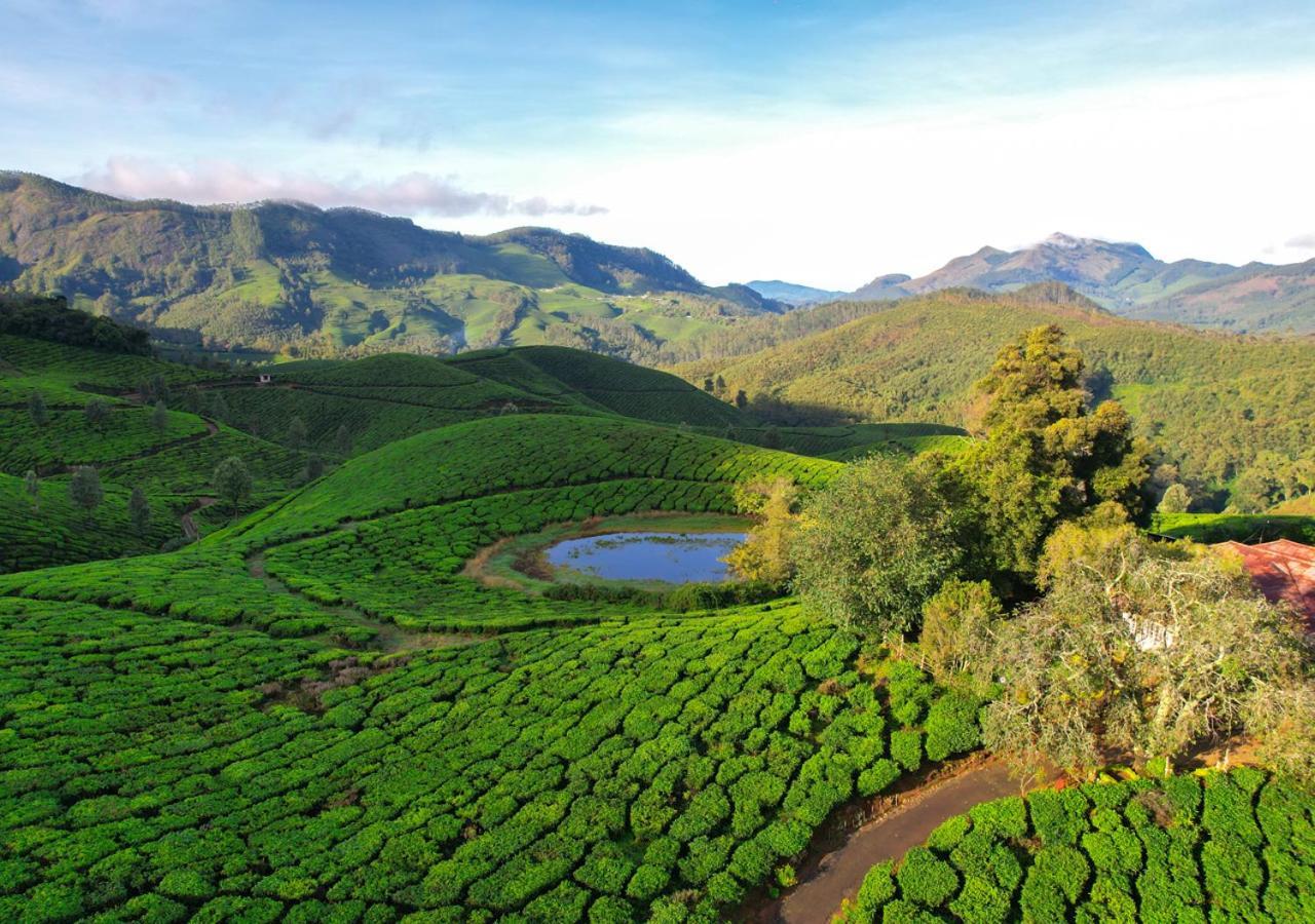 Arivikad Tea Bungalow Munnar By Voye Homes Suryanelli Exteriör bild