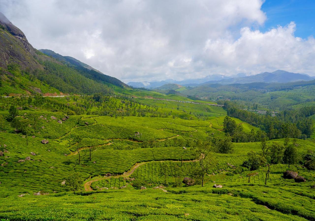 Arivikad Tea Bungalow Munnar By Voye Homes Suryanelli Exteriör bild